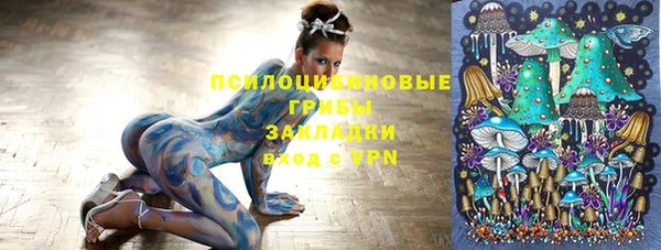прущие грибы Пестово