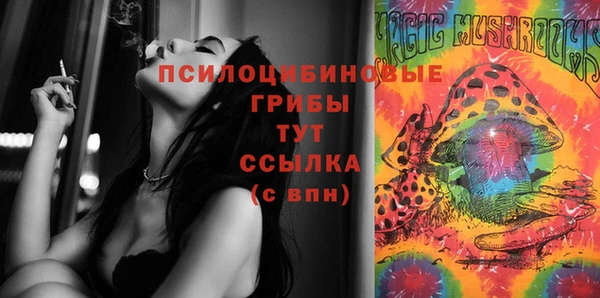 дживик Переславль-Залесский
