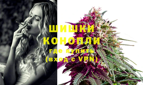прущая мука Пересвет