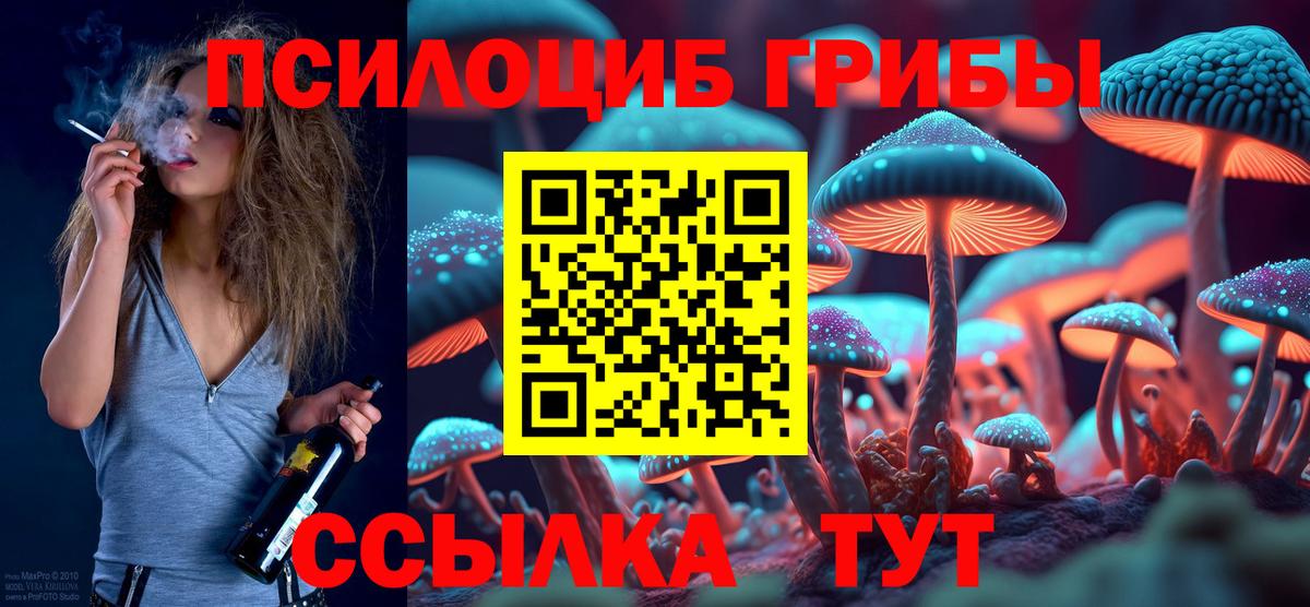Галлюциногенные грибы мицелий  Галлюциногенные грибы мицелий  Карпинск  Вход с VPN 