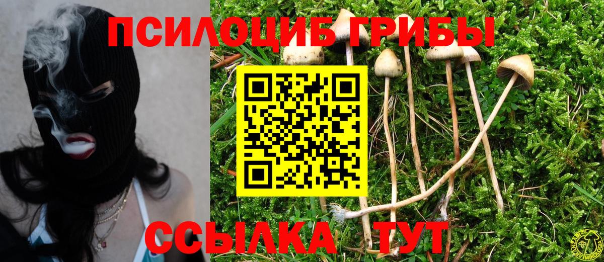 Галлюциногенные грибы GOLDEN TEACHER Карпинск
